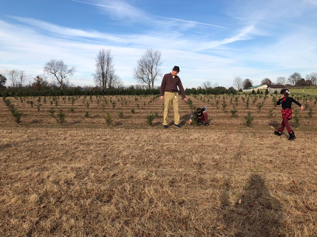 Christmas tree farms in Kentucky Kentucky Family Fun